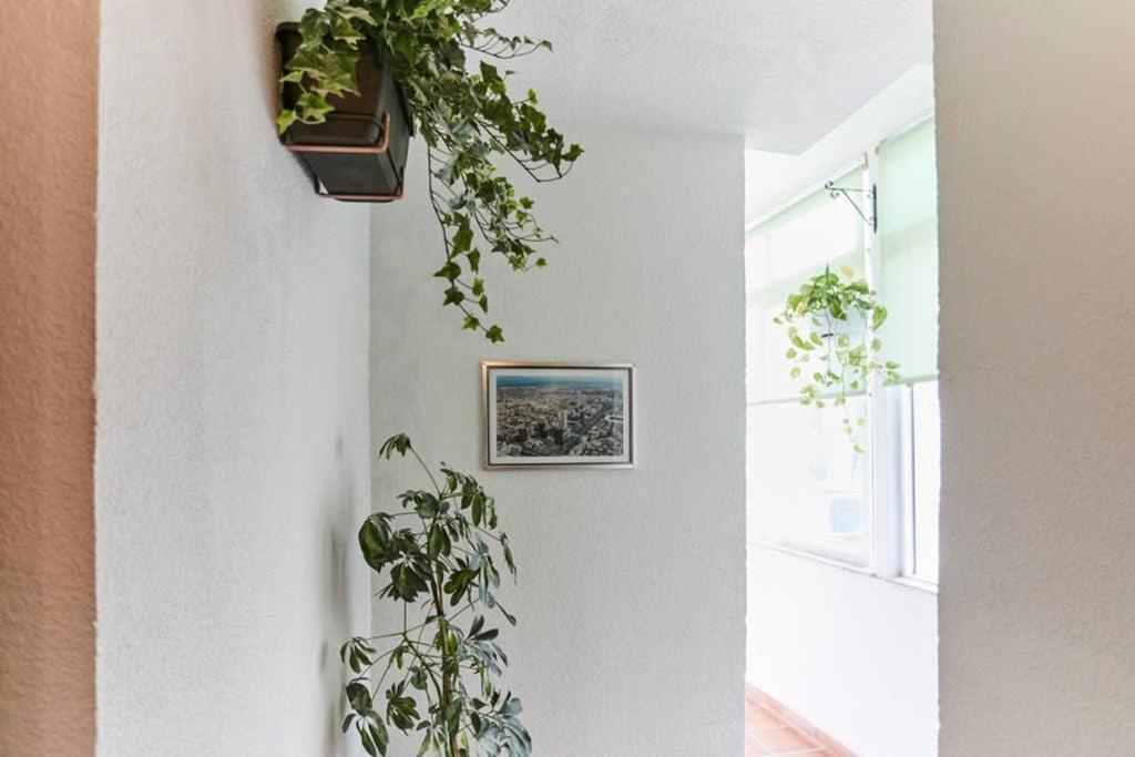 Original Y Coqueto Apartamento Junto A Plaza Mayor Διαμέρισμα Μαδρίτη Εξωτερικό φωτογραφία